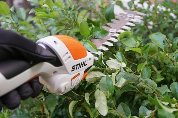 battery topiary shears